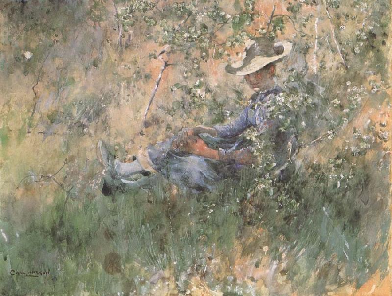 Carl Larsson Girl Among the Hawthorn Blossoms oil painting image